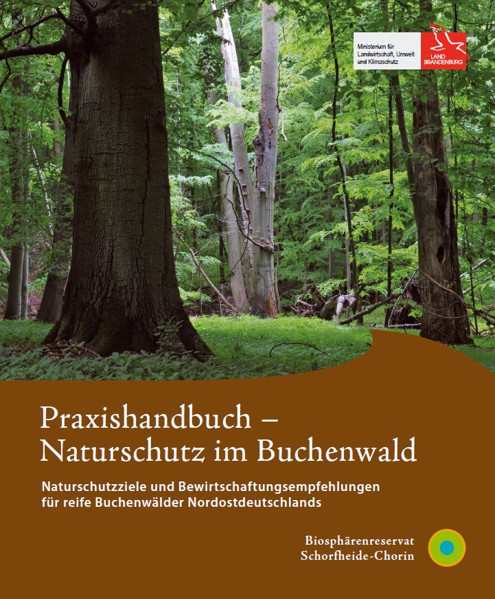 Bild vergrößern (Bild: Titelbaltt Praxishandbuch – Naturschutz im Buchenwald )