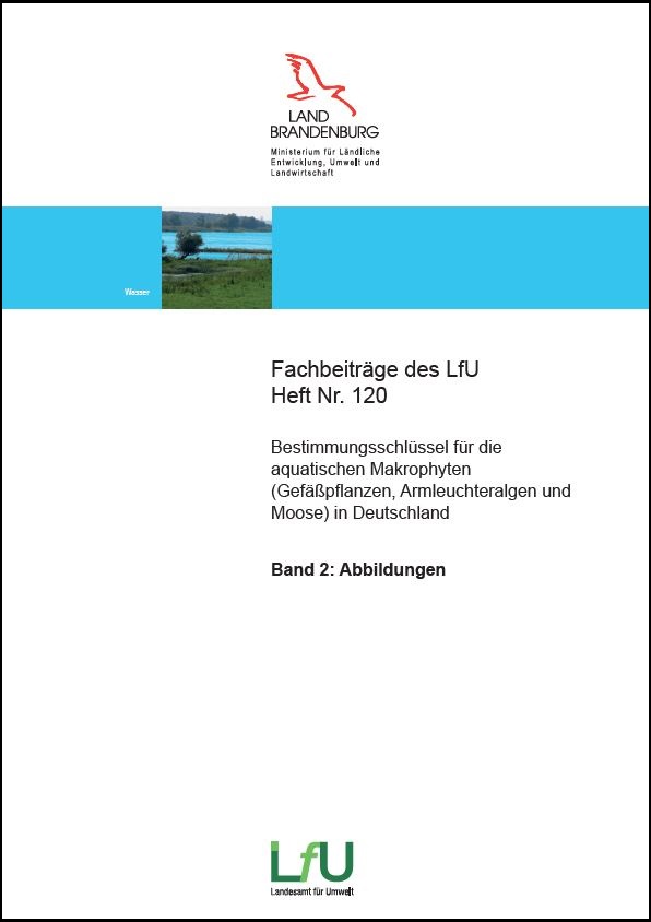 Bild vergrößern (Bild: Bestimmungsschlüssel für die aquatischen Makrophyten in Deutschland, Band 2: Abbildungen - Fachbeiträge, Heft 120 (23 Euro))