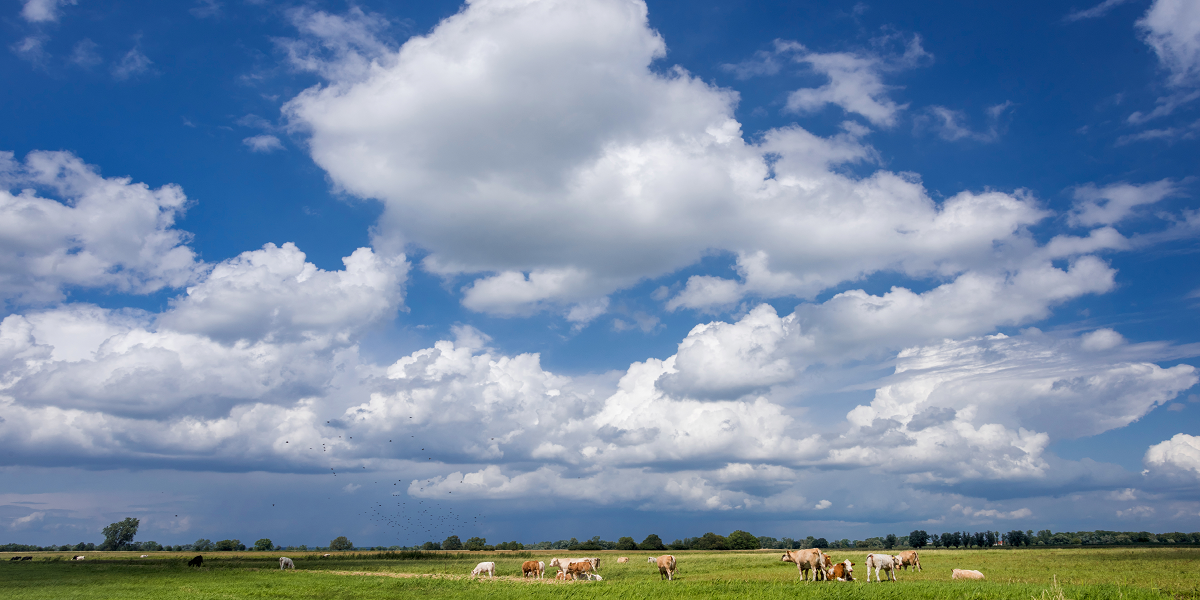 Das Westhavelland im Land Brandenburg