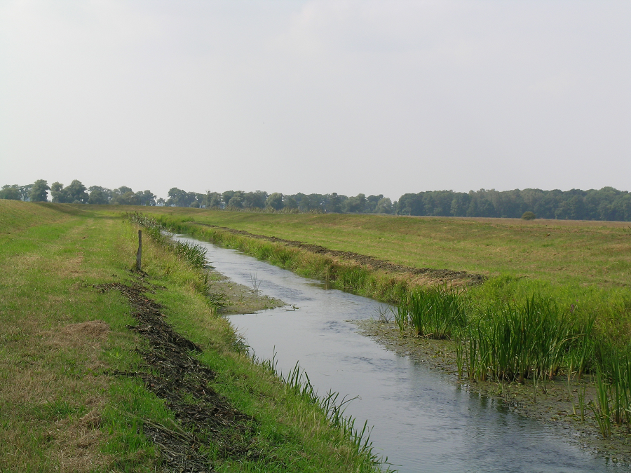 Am Flusslauf der Alten Jäglitz finden wechselseitig Krautungs und Böschungsarbeiten statt. 