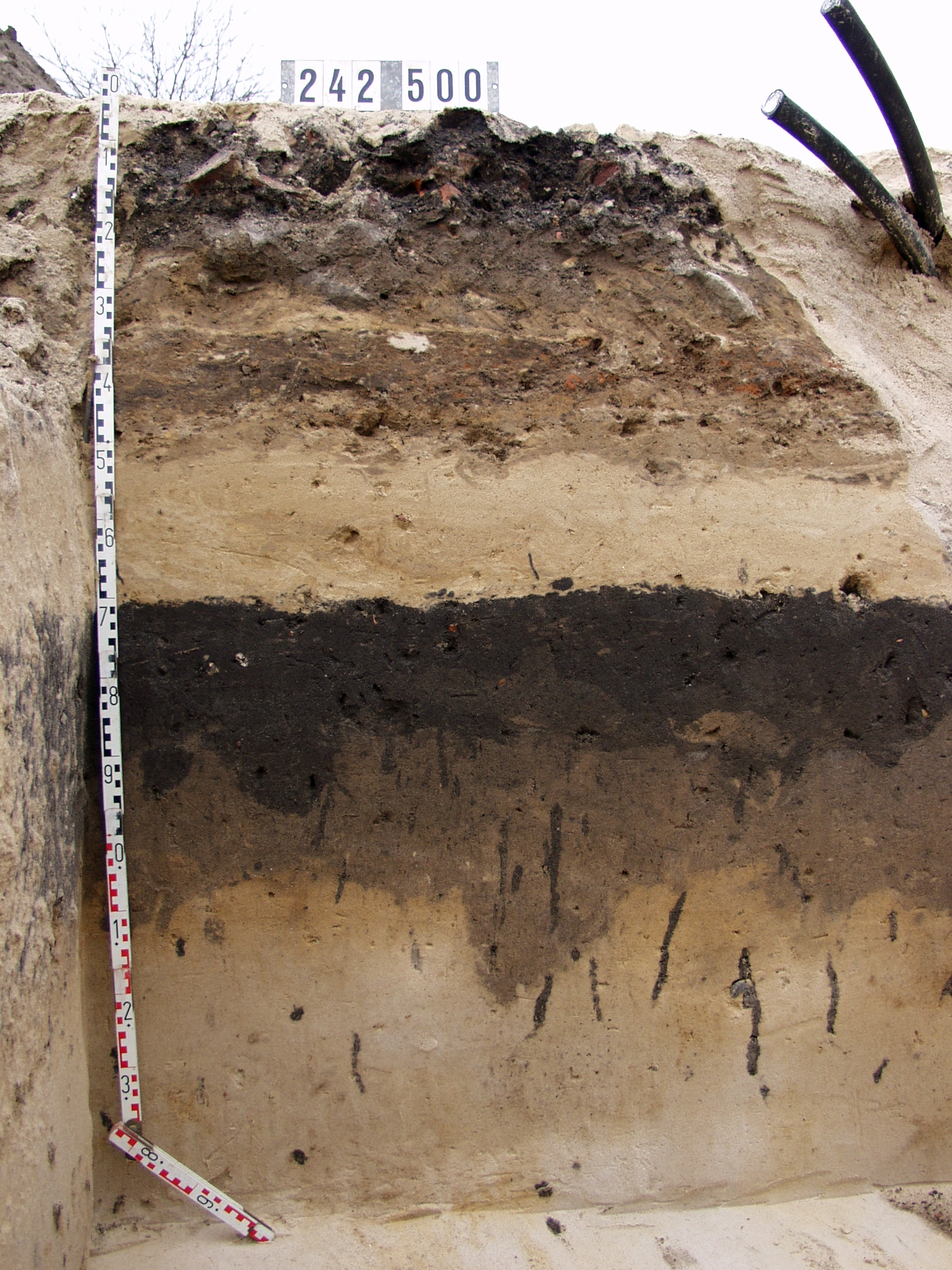 Das Bild zeigt eine Nahaufnahme eines Bodenprofils mit seinen verschiedenen Bodenhorizonten, die verschiedene Bereiche voneinander abgrenzen