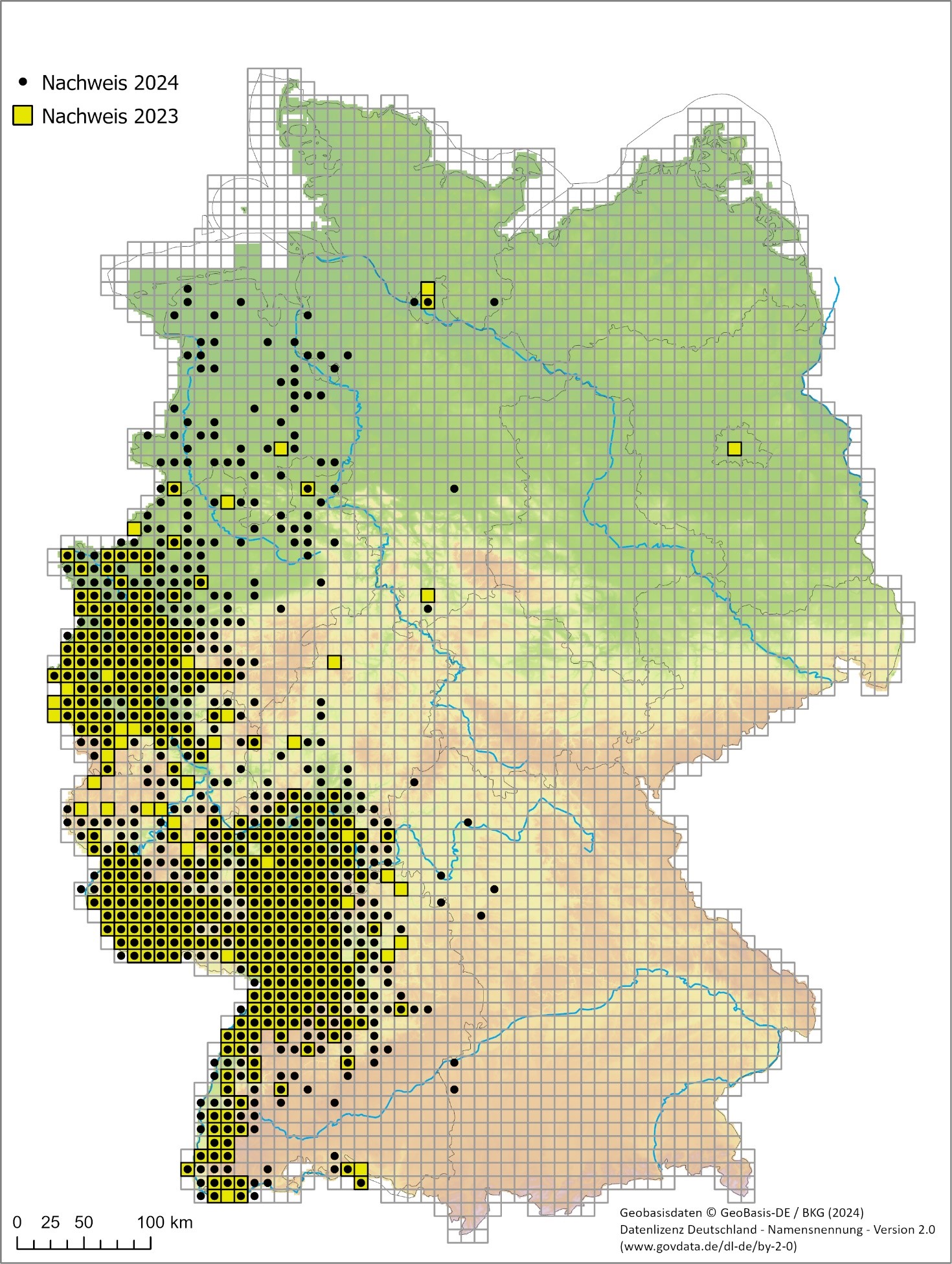 Nachweise der Asiatischen Hornisse für die Jahre 2023 / 2024 in Deutschland. Darstellung verifizierter Nachweise von Tieren und Nestern auf 10 x 10 km (UTM-Rasterzellen). 
