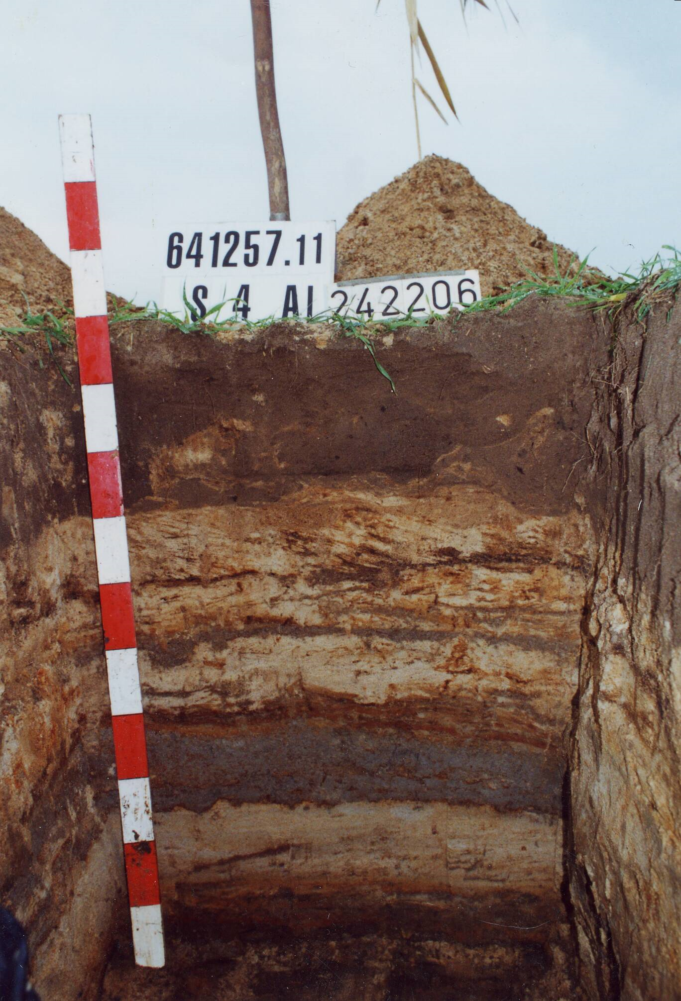 Das Bild zeigt eine Nahaufnahme eines Bodenprofils eines Auengleys mit seinen verschiedenen Bodenhorizonten, die verschiedene Bereiche farblich voneinander abgrenzen.