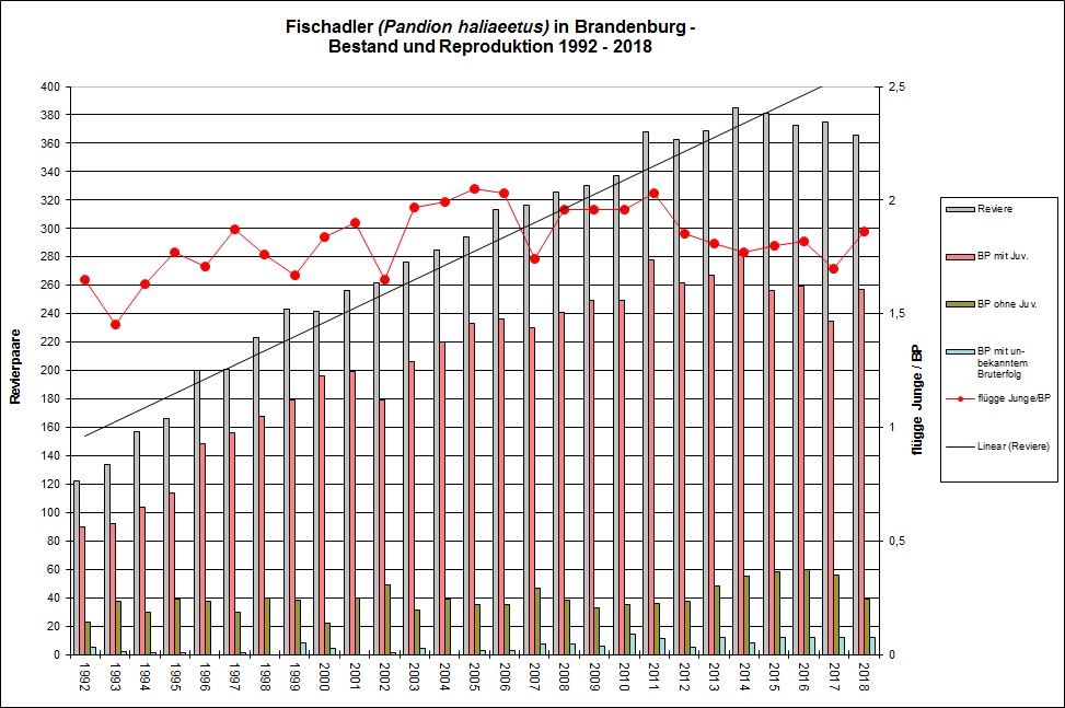 Grafik der Bestandsentwicklung Fischadler 1992 bis 2018