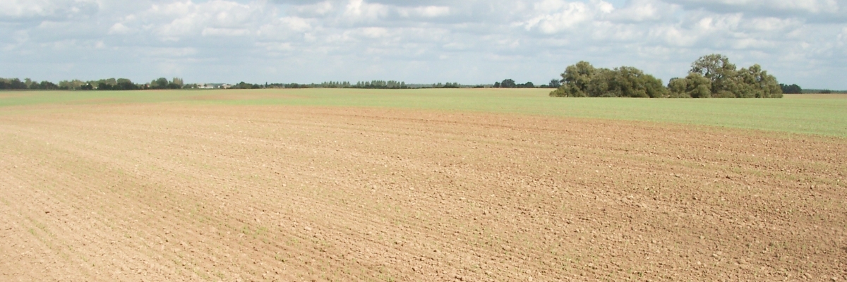Landwirtschaftlich genutzter Boden große frisch gepflügte Ackerfläche, im Hintergrund Wald und Himmel mit Wolken