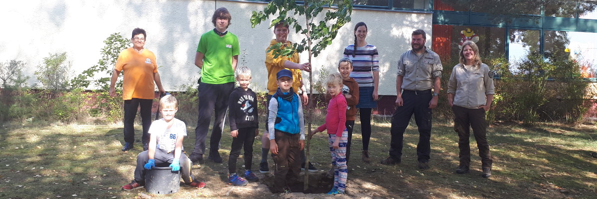 Einheitsbuddeln An einem sonnigen Herbsttag pflanzen 6 Erwachsene und 5 Kinder anlässlich des Einheitsbuddelns 2020 einen Maulbeerbaum auf dem Gelände eines Kinder- und Jugenderholungszentrums im Naturpark Dahme-Heideseen.