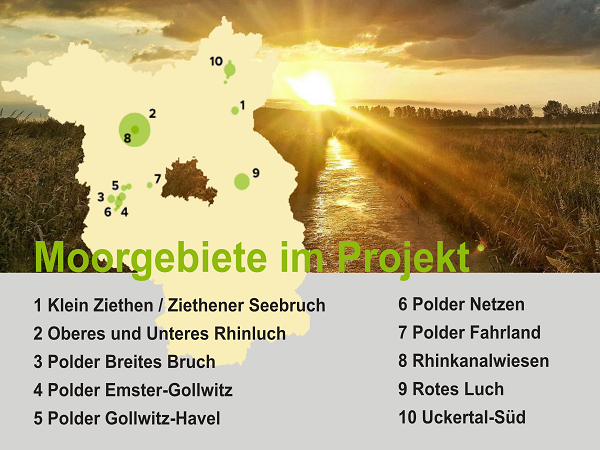 Lage der zehn Moorgebiete des Klimamoorprojektes im Land Brandenburg