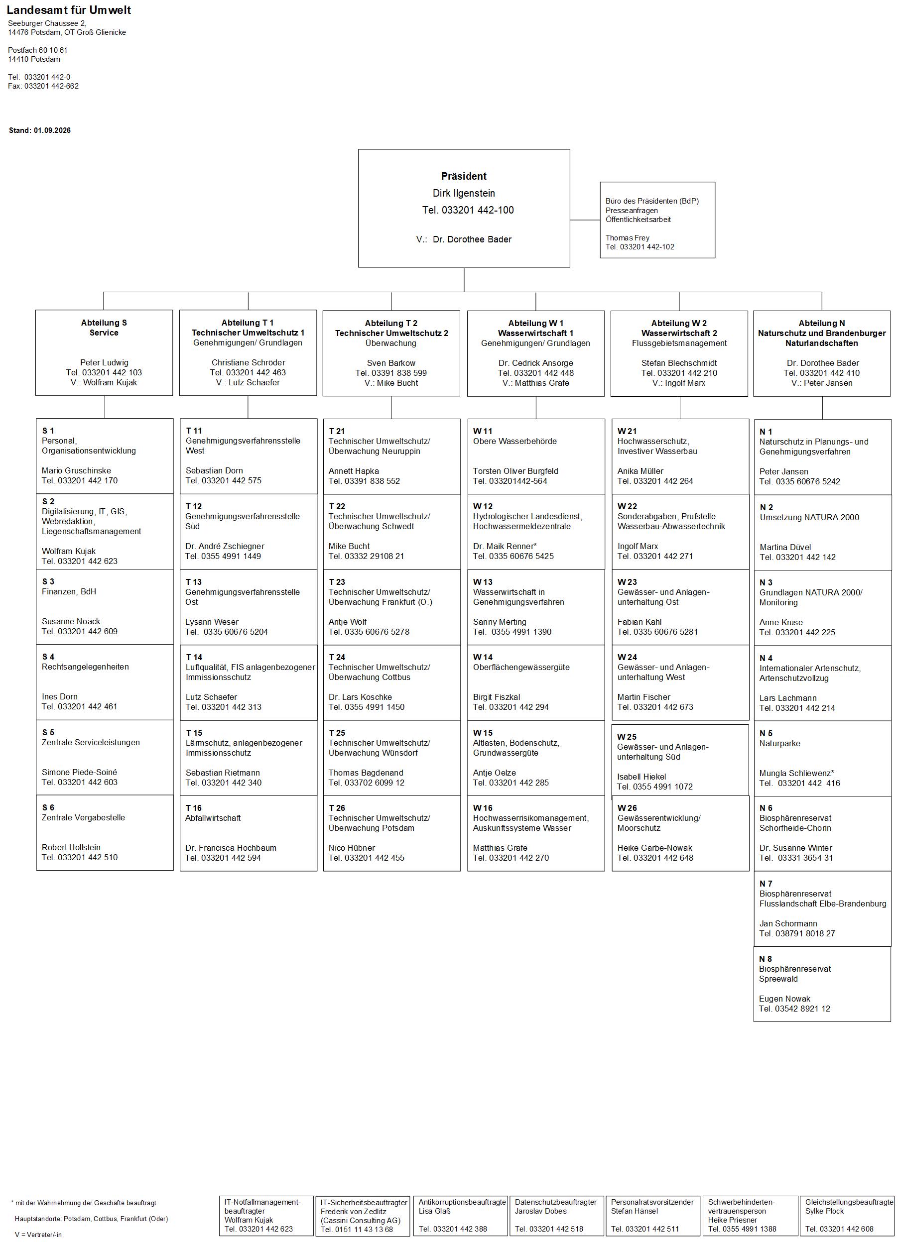 Ein Vorschaubild auf das Organigramm des Landesamtes für Umwelt. 