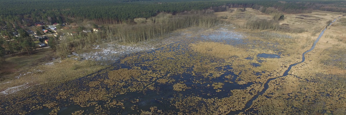  Das Bild zeigt das Gebiet der Möllmer Seewiesen von oben aufgenommen. Im Hintergrund ist Wald zu sehen, im Vordergrund eine weite wiedervernässte Moorfläche.  