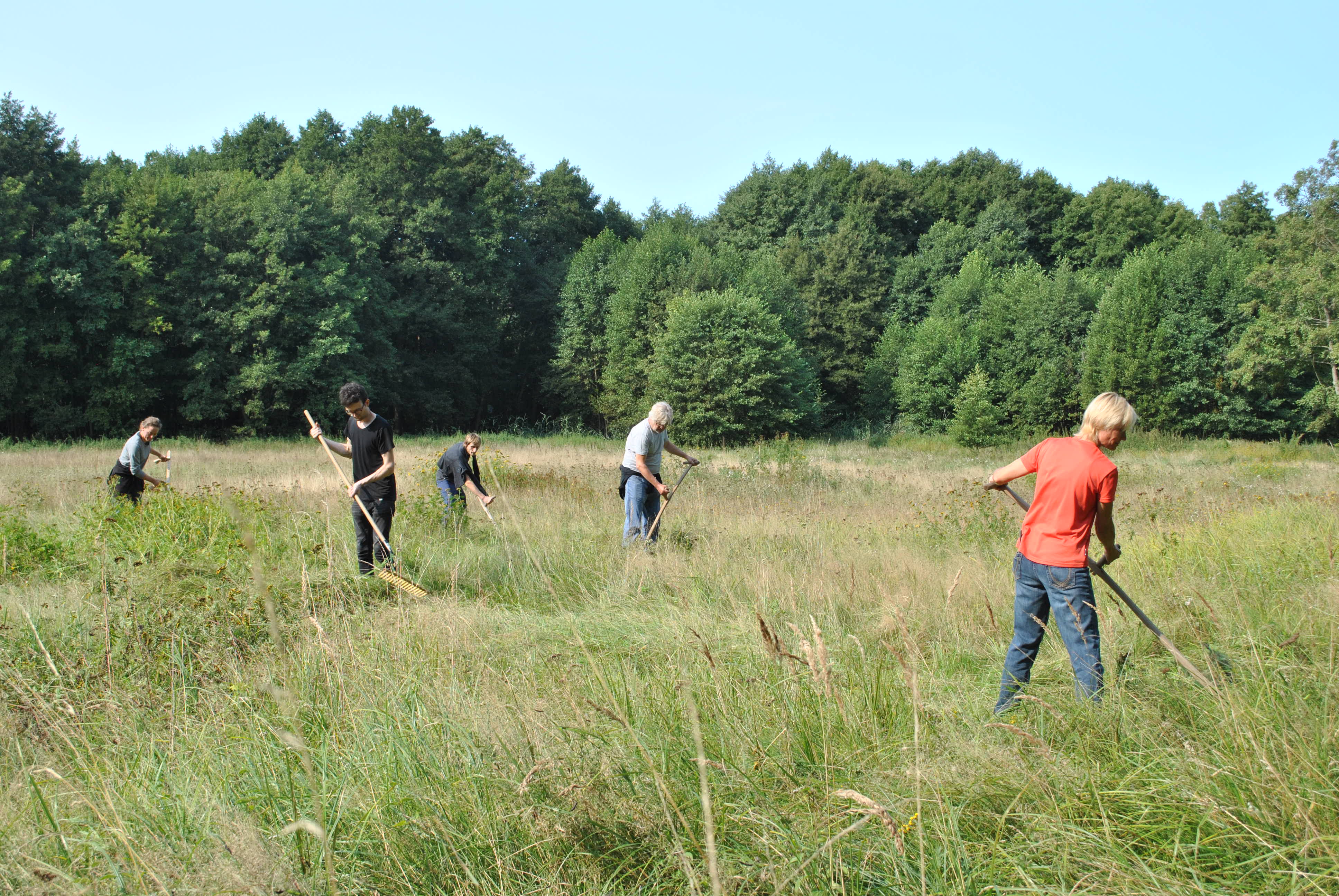 Sensenkurs im Naturpark Schlaubetal