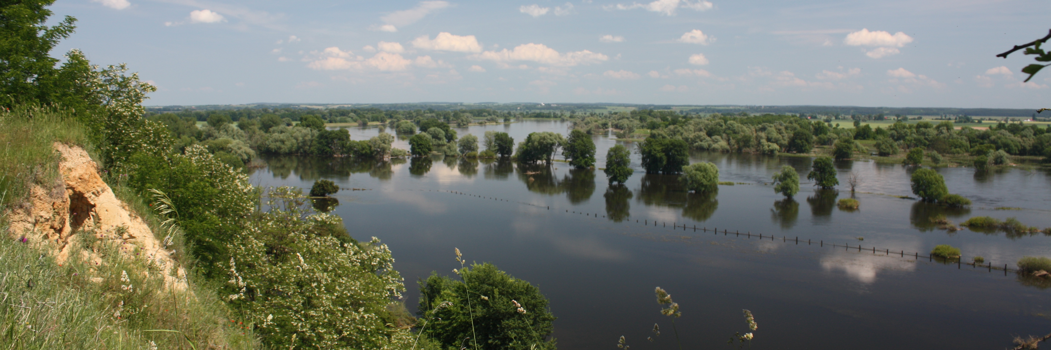 Das Hochwasser an der Oder hat 2010 weite Teile der Oderaue bei Lebus geflutet. Die vorhandene Deichlinie ist nur noch anhand der Baumreihen zu erkennen. Im Bildvordergrund fällt als Kontrast dazu die Kante eines verbuschten Trockenhangs steil bergab.