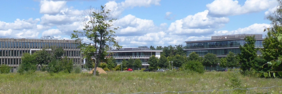 Auf einer Grünfläche zwischen Bäumen stehen große neue Gebäude.