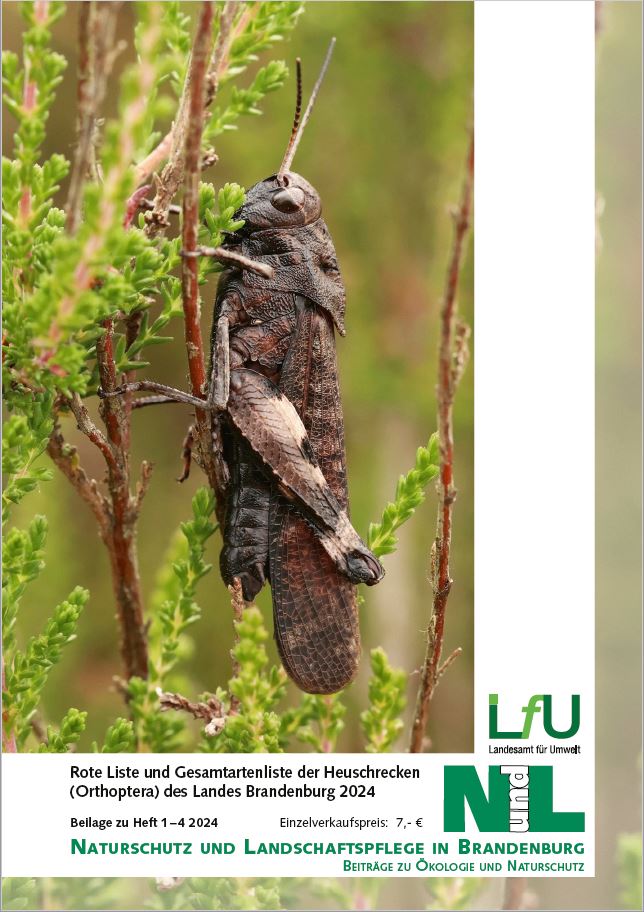 Bild vergrößern (Bild: Titelblatt Rote Liste Heuschrecken - Beilage zu NundL 1-4-2024)