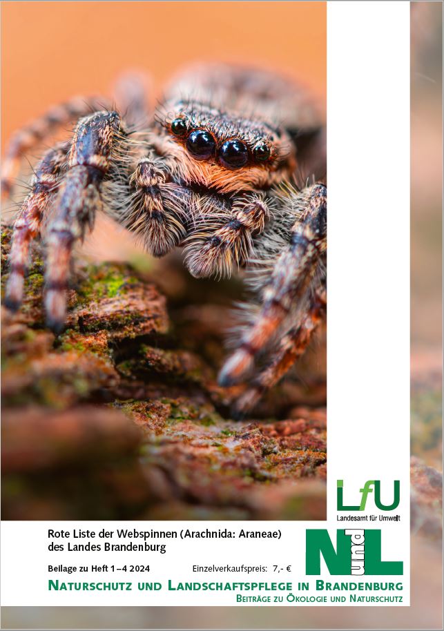 Bild vergrößern (Bild: Titelblatt Rote Liste Webspinnen - beilage zu NundL 1-4-2024)