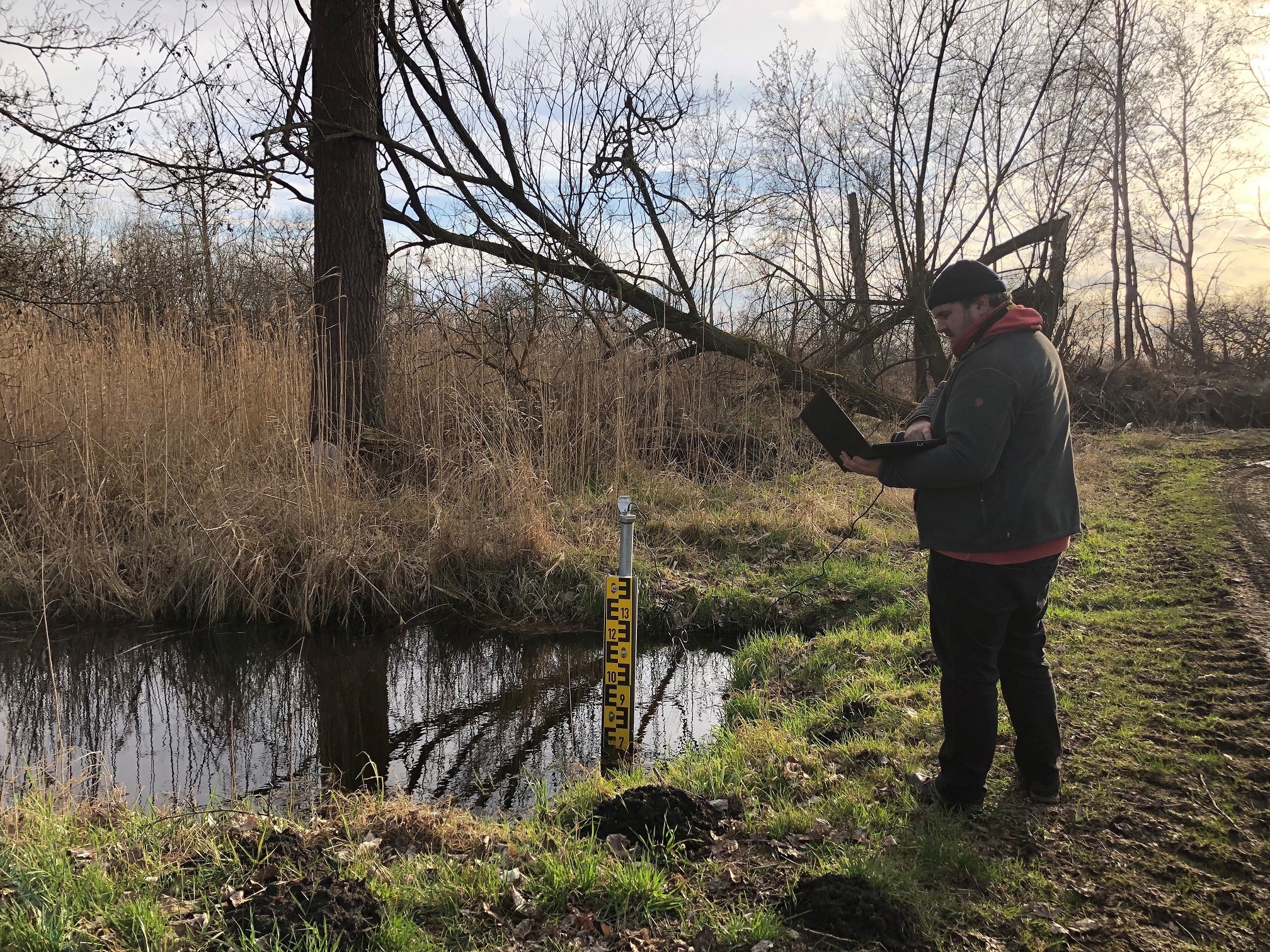 Das Bild zeigt einen Projektmitarbeiter des Landesamtes für Umwelt beim Auslesen eines Grundwasserpegels im Moor Rhinluch.