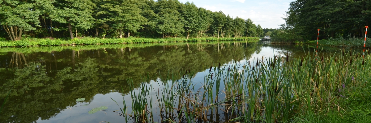 Abschnitt der Havel in BrandenburgAbgebildet wird eine Flusslandschaft eines Brandenburger Gewässers. Das gesamte Bild wird von grün und blau Tönen dominiert. Es zeigt sowohl das Fließgewässer als auch die Uferböschung mit Pflanzenaufwuchs sowie die angrenzende Waldvegetation. Im Hintergrund ist ein motorisiertes Kleinboot zu sehen.