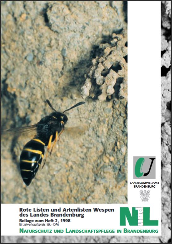 Bild vergrößern (Bild: Titelseite der Zeitschrift: Naturschutz und Landschaftspflege in Brandenburg - Beilage Heft 2 - 1998 (Wespen))