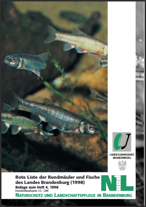 Bild vergrößern (Bild: Zeitschrift: Naturschutz und Landschaftspflege in Brandenburg - Beilage zu Heft 4 - 1998 - Fische, Rundmäuler)
