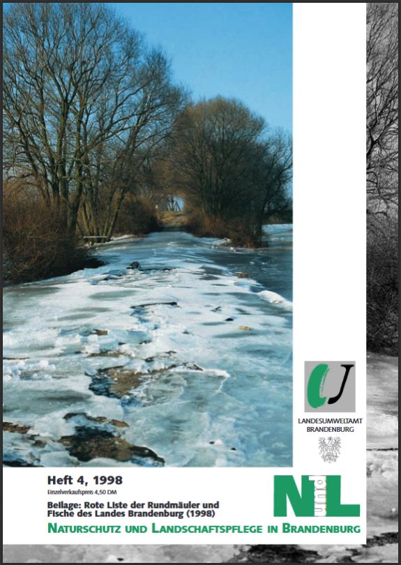 Bild vergrößern (Bild: Zeitschrift: Naturschutz und Landschaftspflege in Brandenburg Heft 4 - 1998)