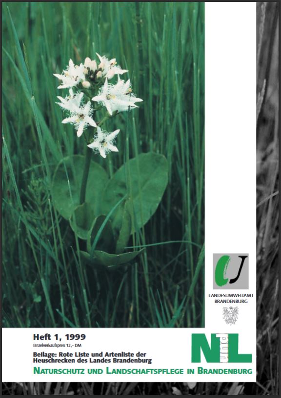 Bild vergrößern (Bild: Zeitschrift: Naturschutz und Landschaftspflege in Brandenburg Heft 1 - 1999)