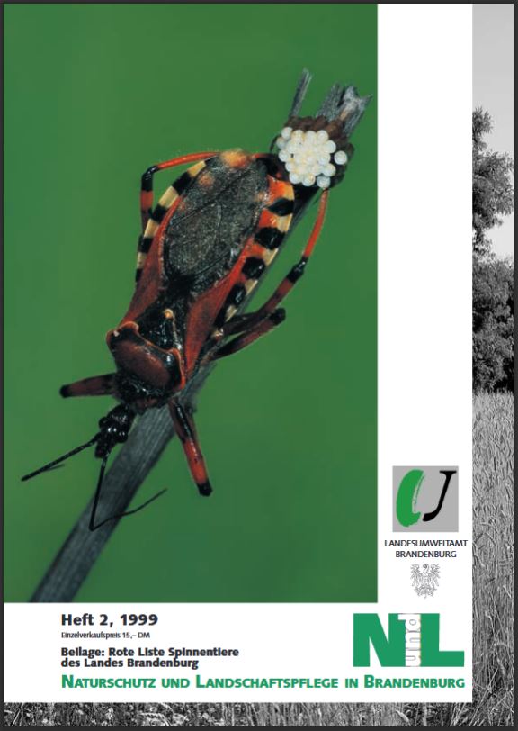 Bild vergrößern (Bild: Zeitschrift: Naturschutz und Landschaftspflege in Brandenburg Heft 2 - 1999)