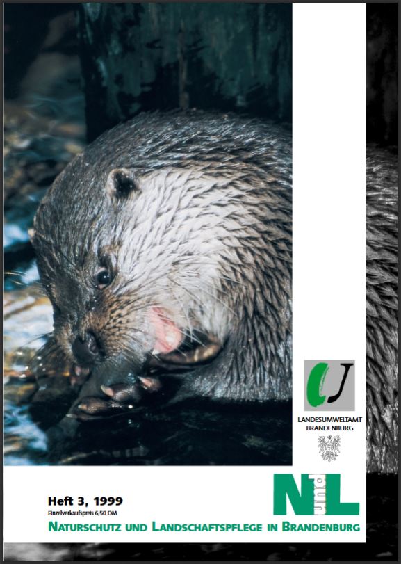 Bild vergrößern (Bild: Titelseite der Zeitschrift: Naturschutz und Landschaftspflege in Brandenburg Heft 3 - 1999)
