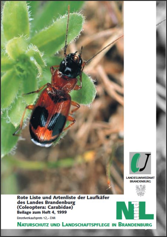 Bild vergrößern (Bild: Titelseite der Zeitschrift Naturschutz und Landschaftspflege 1999 Heft4 Beilage Rote Liste der Laufkäfer)