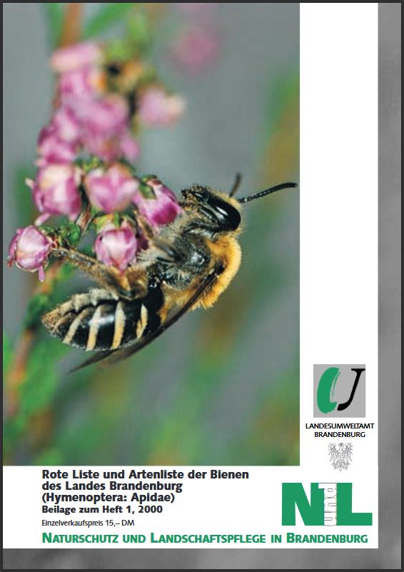Bild vergrößern (Bild: Zeitschrift: Naturschutz und Landschaftspflege in Brandenburg - Beilage zu Heft 1 - 2000 - Rote Liste Bienen)