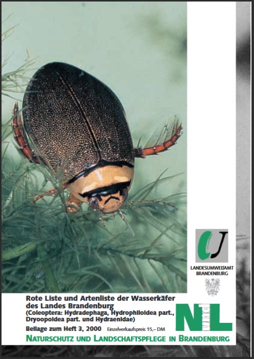 Bild vergrößern (Bild: Zeitschrift: Naturschutz und Landschaftspflege in Brandenburg - Beilage zu Heft 3 - 2000 - Wasserkäfer)