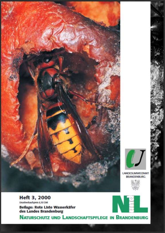 Bild vergrößern (Bild: Titelseite der Zeitschrift: Naturschutz und Landschaftspflege in Brandenburg Heft 3 - 2000)