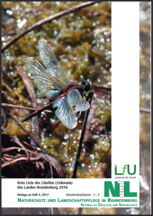Bild vergrößern (Bild: Titelseite der Zeitschrift: Naturschutz und Landschaftspflege in Brandenburg - Beilage Rote Liste Libellen 2016 - Heft 4 - 2017)