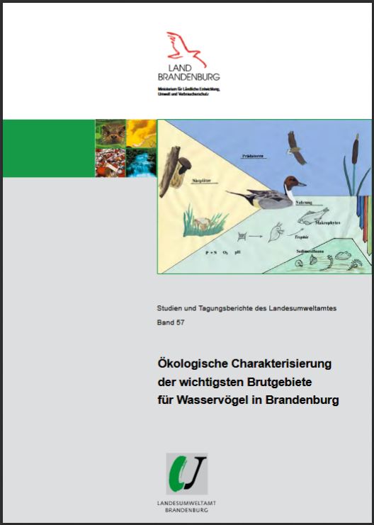 Bild vergrößern (Bild: Ökologische Charakterisierung der wichtigsten Brutgebiete für Wasservögel in Brandenburg - Studien und Tagungsberichte, Band 57)