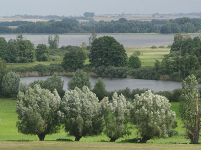 Blick auf den Uckersee im Biosphärenreservat Schorfheide Chorin