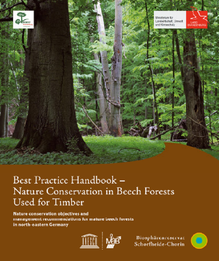 Bild vergrößern (Bild: Cover: Best Practice Handbook – Conservation in Beech Forests Used for Timber)