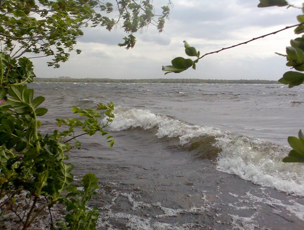 Blick über den Speicher Niemtsch bei starkem Wellengang, der umgangssprachlich auch Senftenberger See genannt wird. 