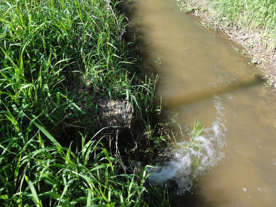 Das Bild zeigt die Entwässerung von Ackerland und die Einleitung von meist mit Nährstoffen belastetem Wasser in ein Gewässer der Prignitz.Das Bild zeigt die Entwässerung von Ackerland und die Einleitung von meist mit Nährstoffen belastetem Wasser.