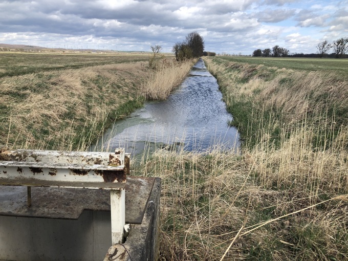 Das Bild zeigt einen Entwässerungsgraben und danebenliegende trockengelegte landwirtschaftlich genutzte Moorflächen im Randowbruch. 