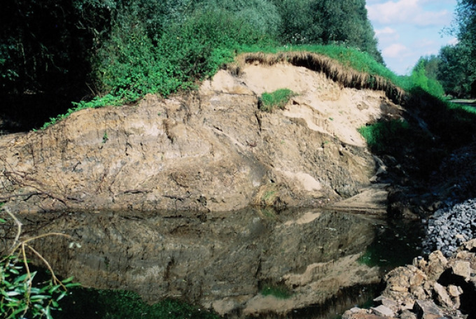Der Altdeich an der Oder in der Ziltendorfer Niederung im Querschnitt. Im Vordergrund Wasser, heller Sand als Hügel, darauf eine Grasnarbe.