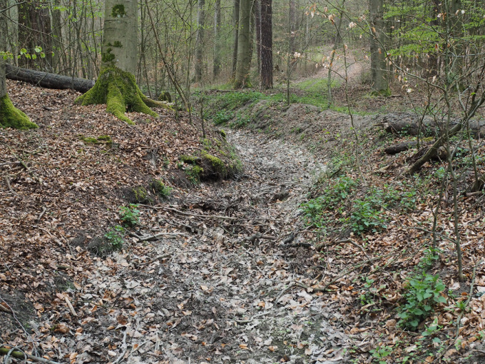 Das Foto zeigt den Wassermangel in Brandenburg am Beispiel des ausgetrockneten Bachbettes der Boner Nuthe im April 2020