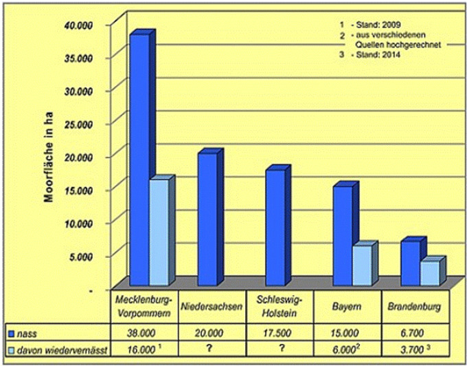Die Grafik zeigt ein Säulendiagramm nasser und wiedervernässter Moorflächen in Hektar. Abgebildet werden von links nach rechts die Größen der nassen Moorflächen der Bundesländer Mecklenburg-Vorpommern, Niedersachsen, Schleswig-Holstein, Bayern und Brandenburg. Die nassen Moorflächen nehmen von Mecklenburg-Vorpommern mit 38.000 Hektar bis zu den Moorflächen in Brandenburg mit 6.700 Hektar stufenweise ab. 