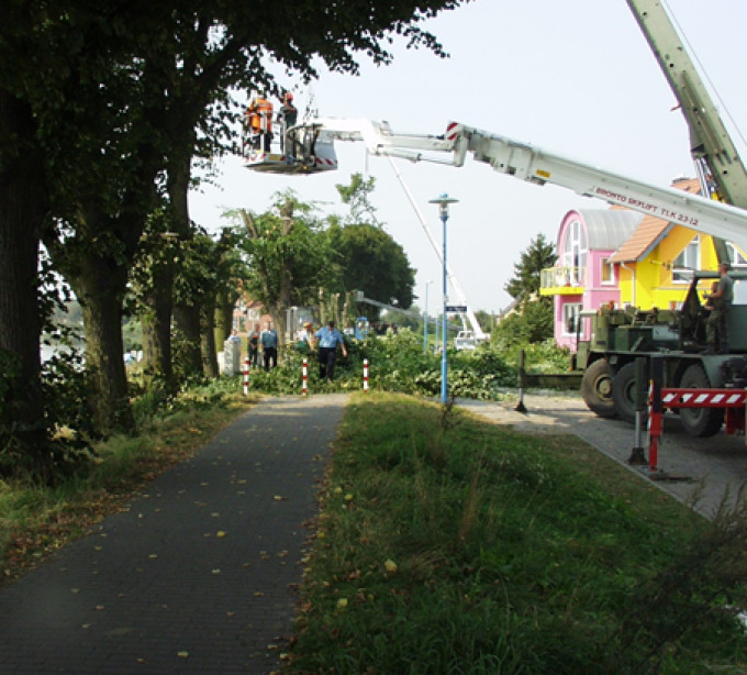 Linden werden mit gekürzt. Auf einer Hebebühne stehen Arbeiten, die das beschneiden vornehmen. 