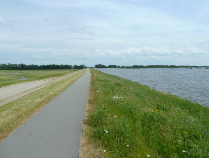 Blick auf einen sanierten Deichabschnitt während des Hochwassers 2013