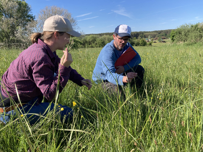 Zwei Menschen sitzen in einer Moorwiese und schauen sich Gräser genau an.